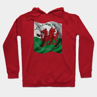 Y Ddraig Goch Ddyry Cychwyn Welsh Rugby And Flag Hoodie